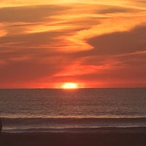 Meet your Posher, Norma